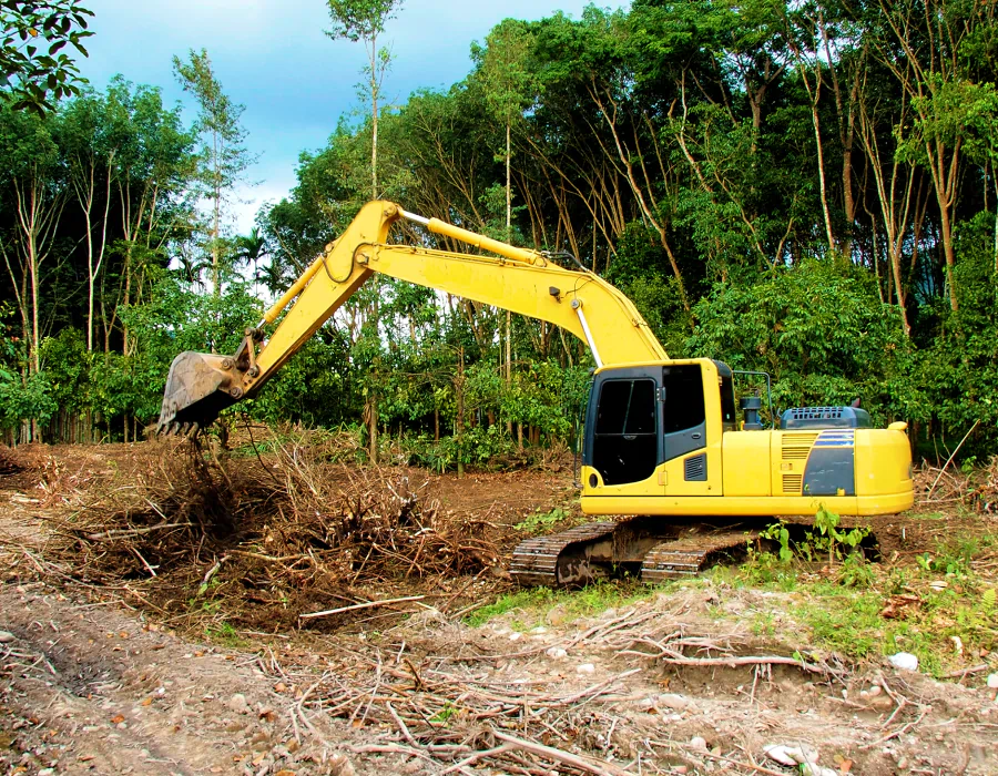 land clearing service cherryville nc